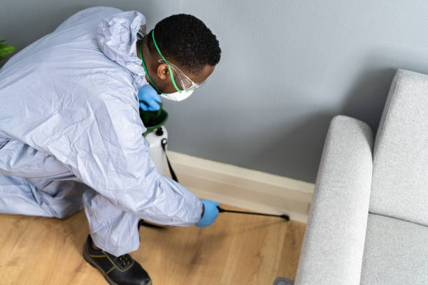 Best Fumigation Services  in Poway, CA